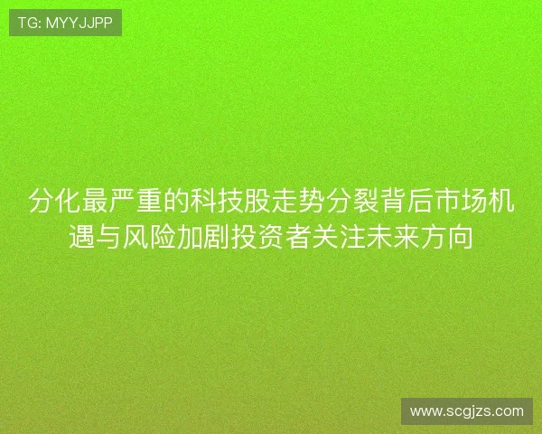 分化最严重的科技股走势分裂背后市场机遇与风险加剧投资者关注未来方向 分化最严重的科技股走势分裂背后市场机遇与风险加剧投资者关注未来方向
